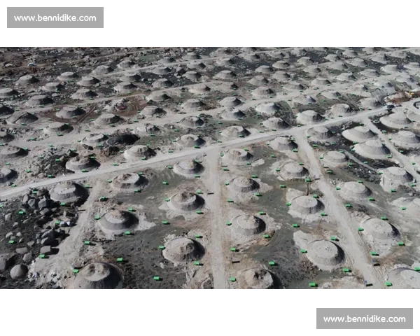 袋鼠与人类对抗的力量速度智慧生存本能全面对比解析差异研究揭秘